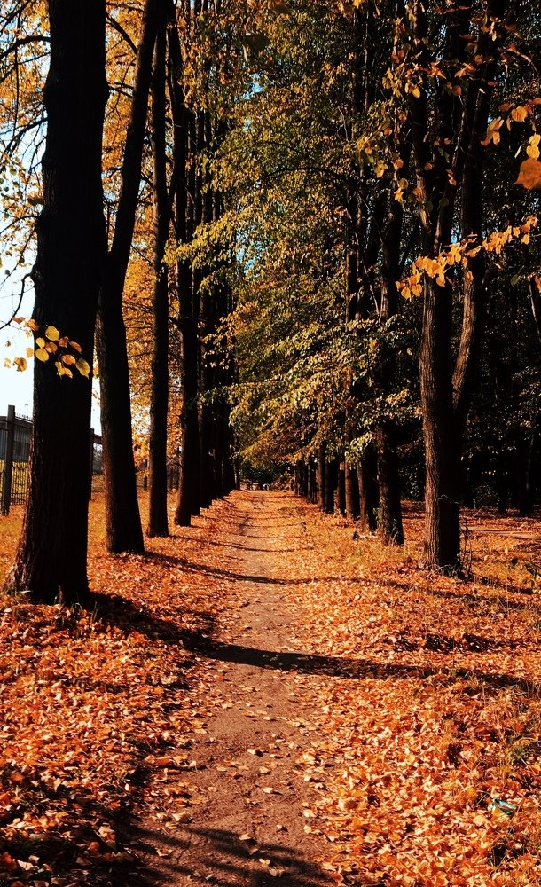 Photograph by Catherina Novikova