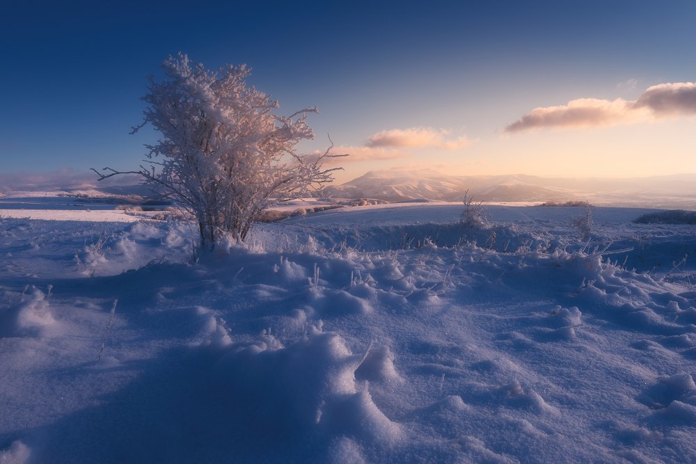 Photograph by Oleg Feofanov