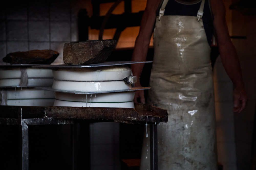 Goat cheese production in the mountains