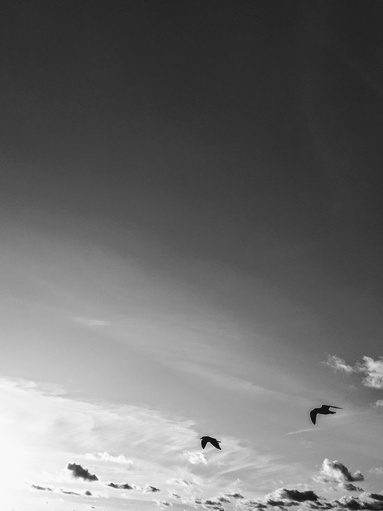 Photograph by Маргарита Тиунова