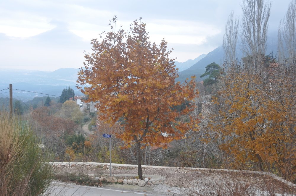 Photograph by Нуриля Аметакунова