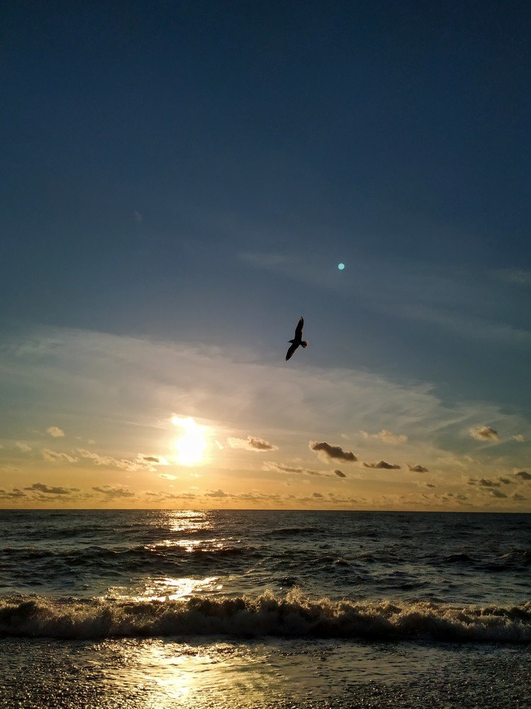 Photograph by Маргарита Тиунова