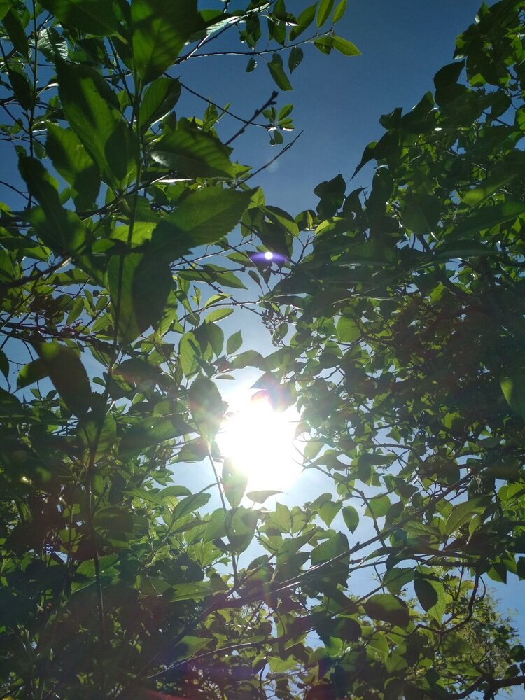 Photograph by Ольга Журавлева