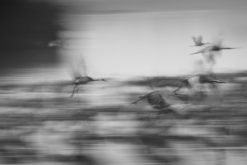 Photograph by Maxim Sayapin