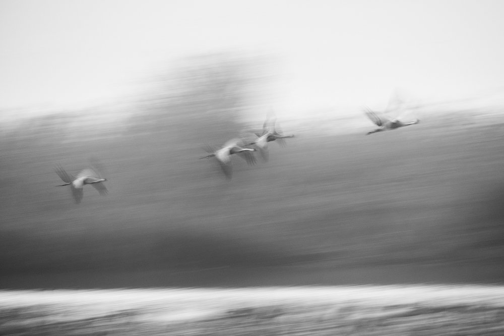 Photograph by Maxim Sayapin