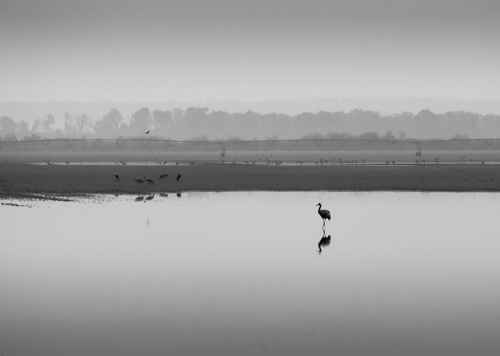 Photograph by Maxim Sayapin