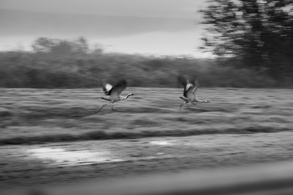 Photograph by Maxim Sayapin