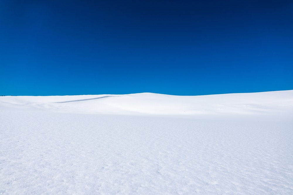 Photograph by Masahiro Hiroike Masahiro Hiroike