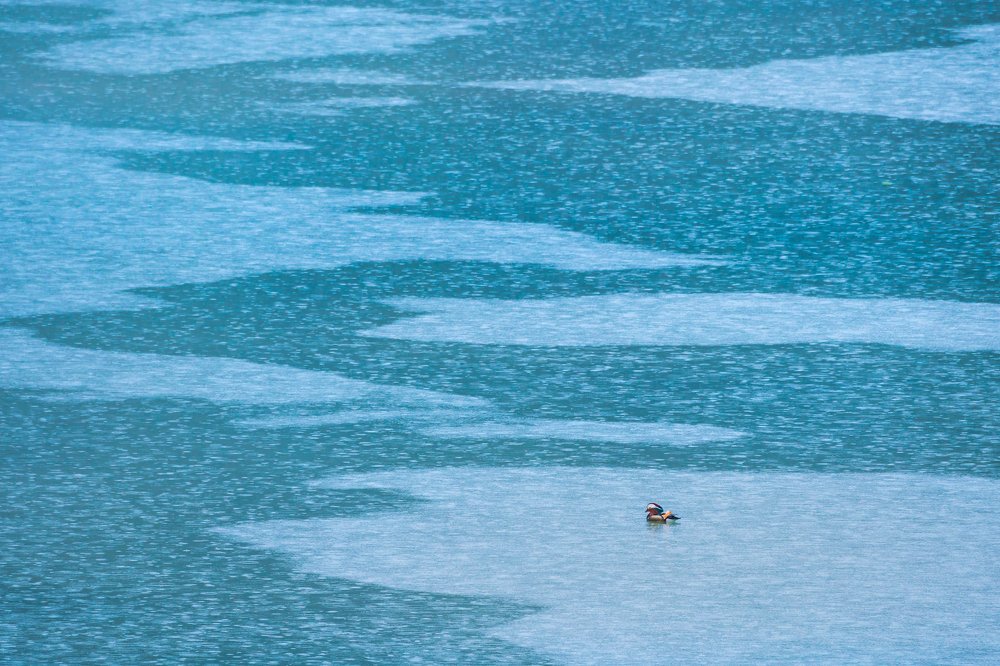 Photograph by Masahiro Hiroike Masahiro Hiroike