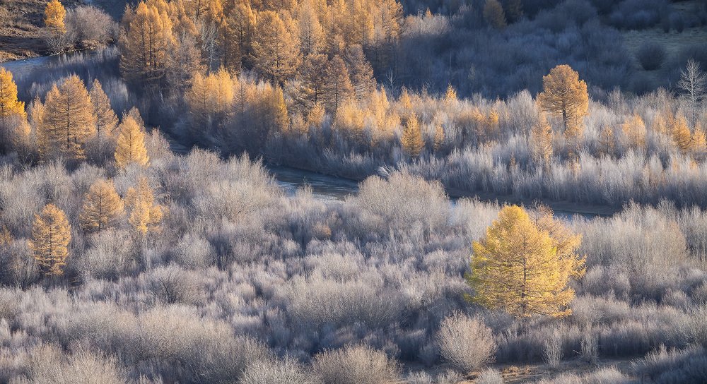 Золото и серебро Алтая