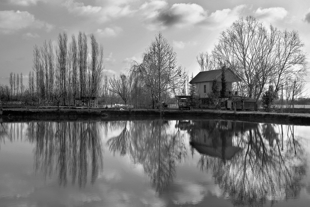 Photograph by Айдын Мехтиев