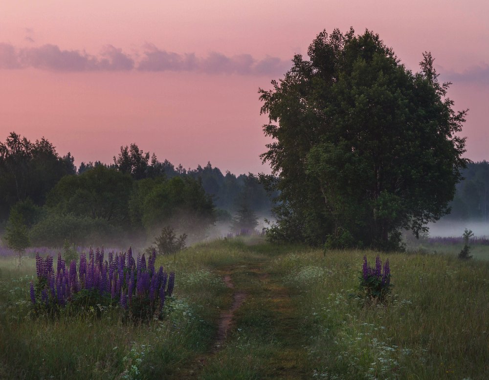 Фотография автора Елена Супиталёва