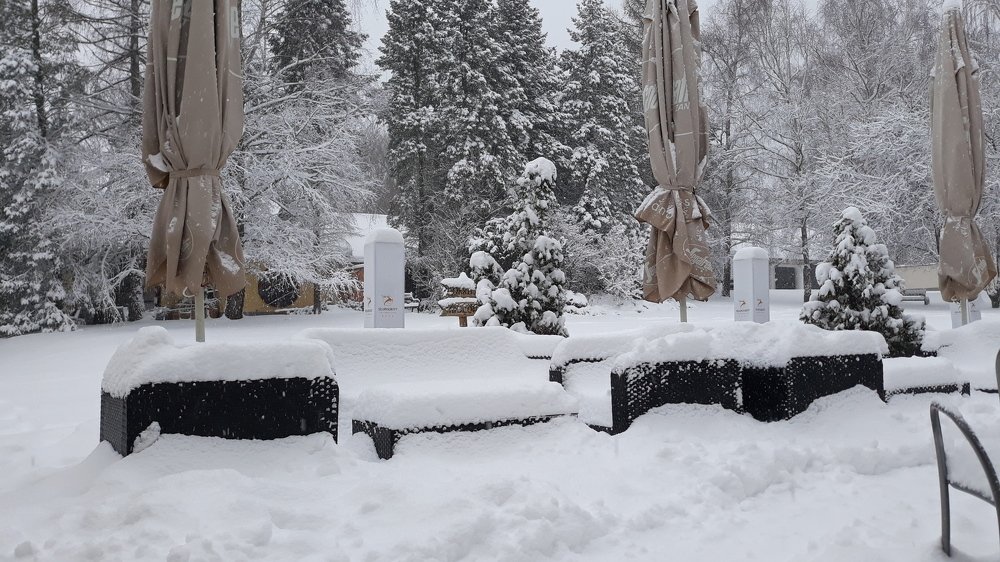 Photo #4315819