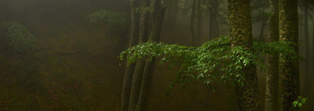 Фотография автора Владимир Метцгер