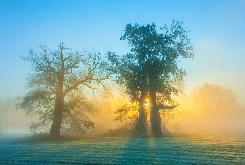 Photograph by MARIAN SKAPSKI