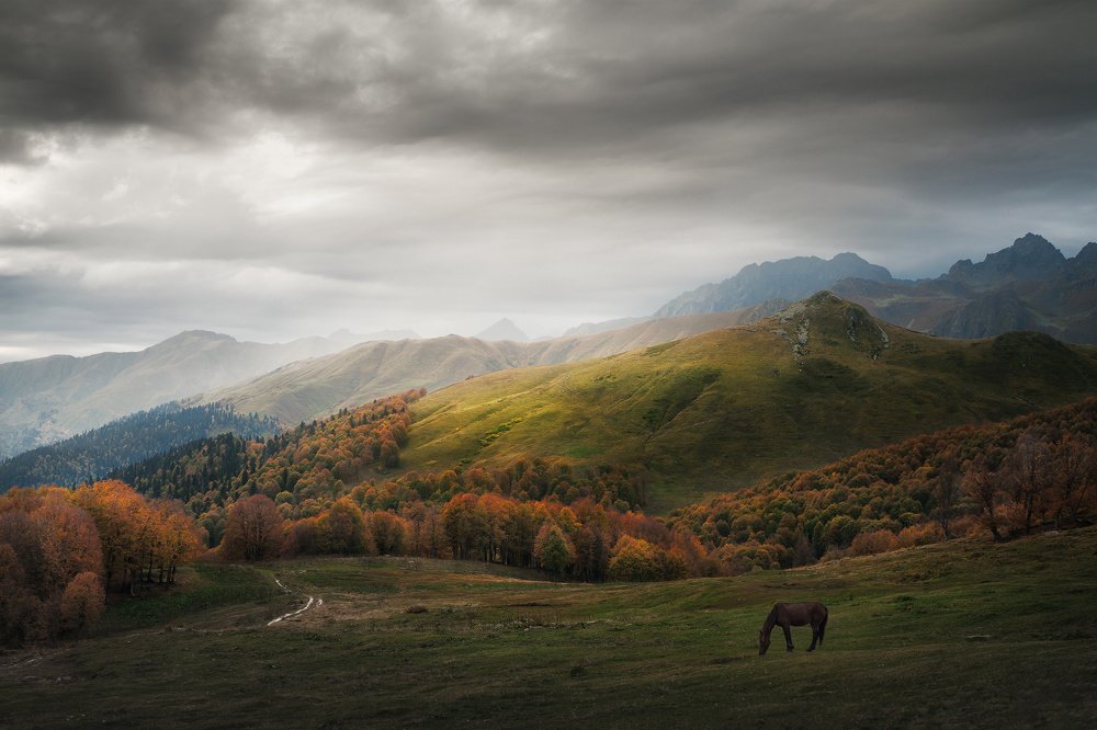 Photograph by Смольский Евгений