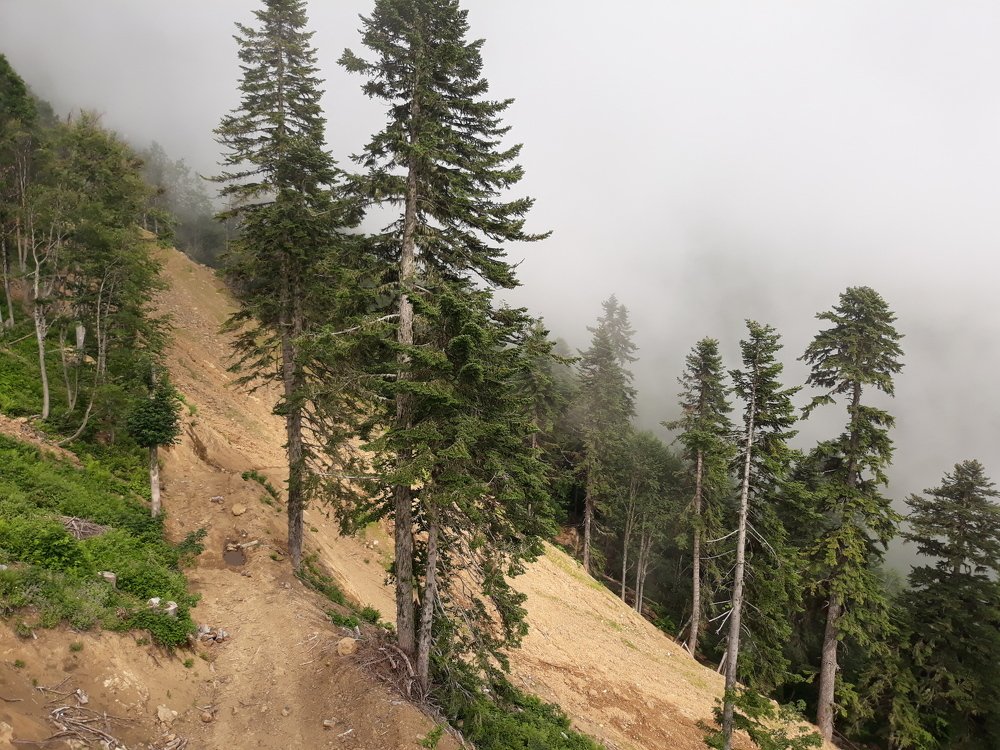 Photograph by Ирина Алексеевская