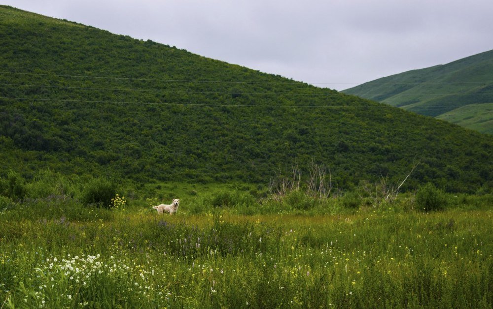 Страж озёра