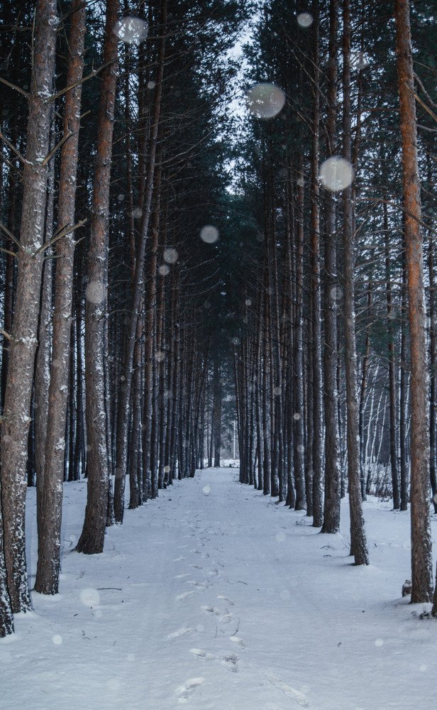 Photograph by Даниэль Чашкин