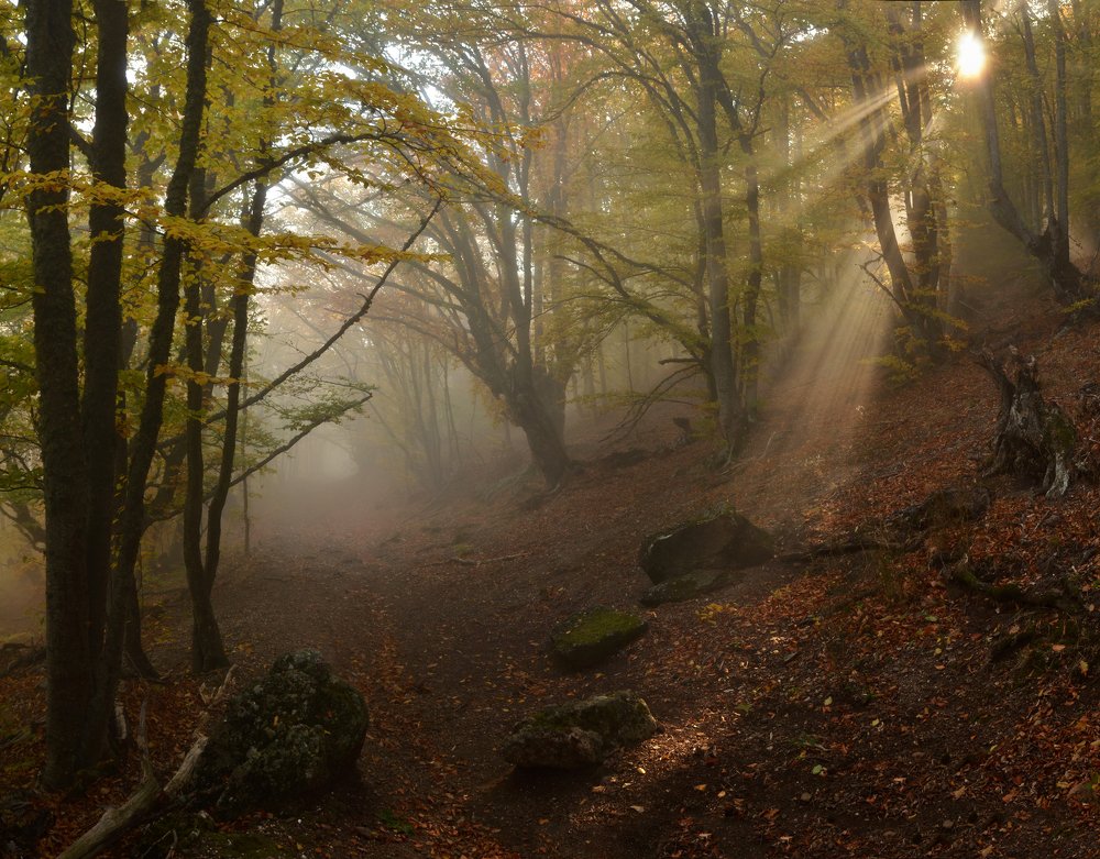 Фотография автора Владимир Метцгер