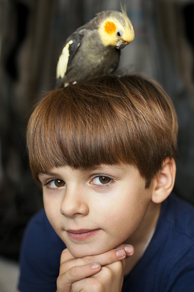 Photograph by Кисинская Юлия