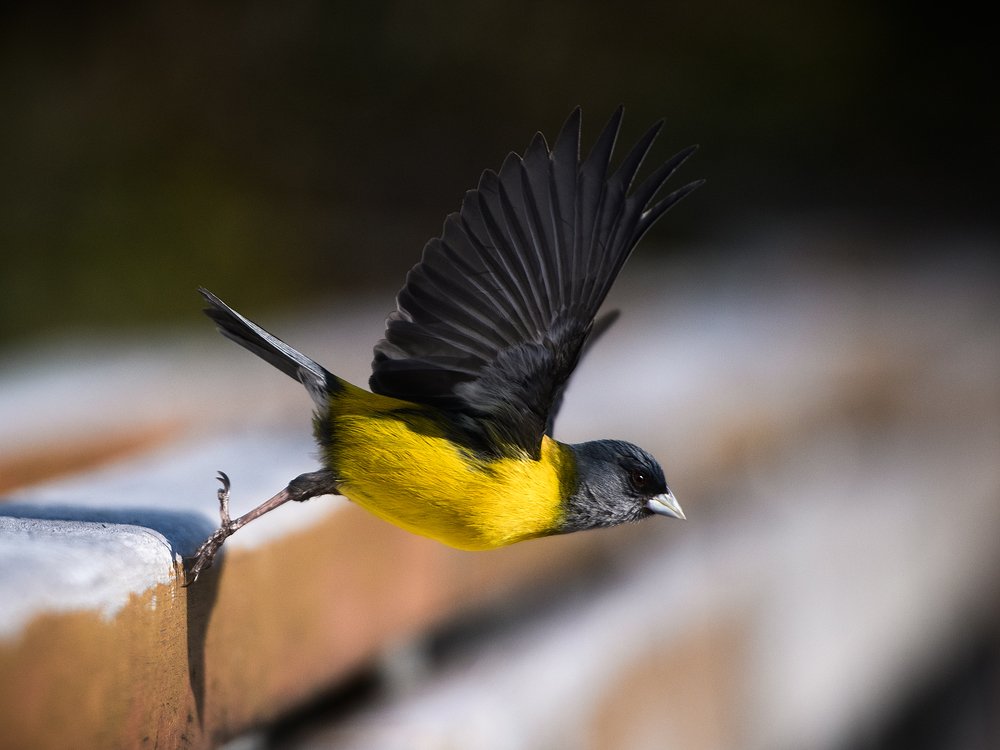 Photograph by Антон Ростовский