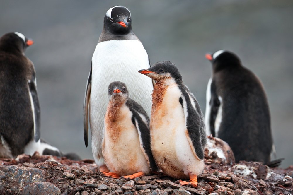 Мам, а правда, что чумазым в школу нельзя?