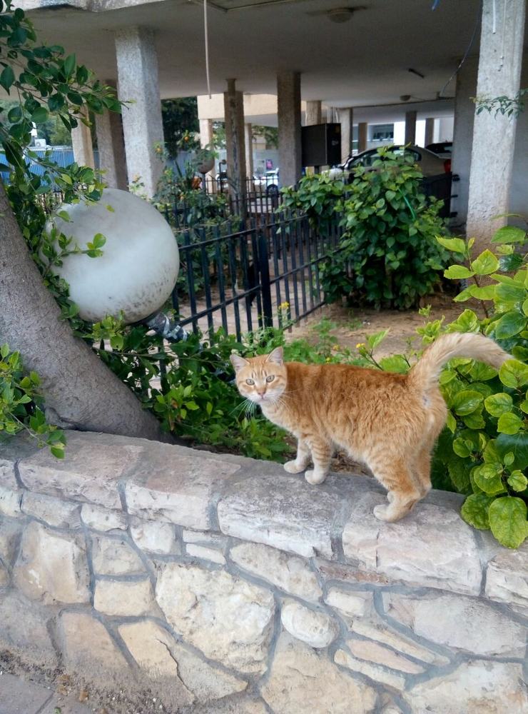 Мобильная фотография.