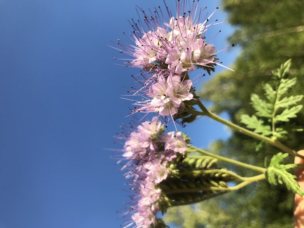 Photograph by Света Троянова