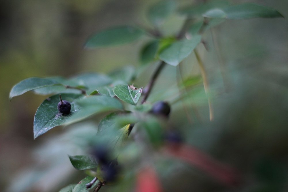 Photograph by Юлия