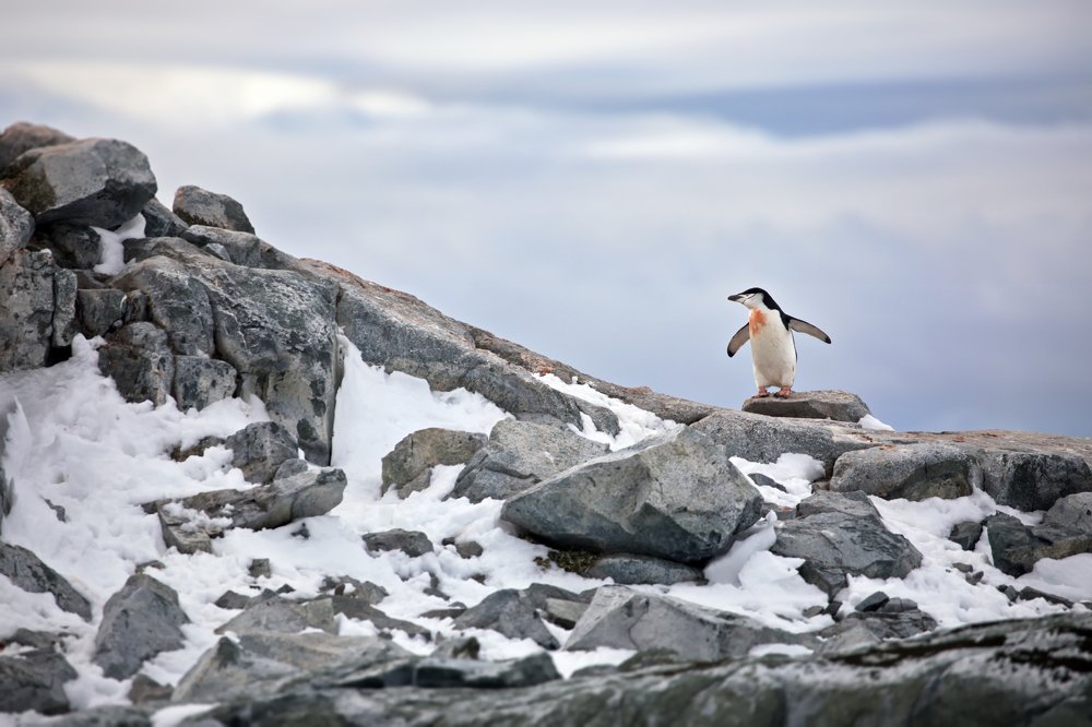 Последний рубеж