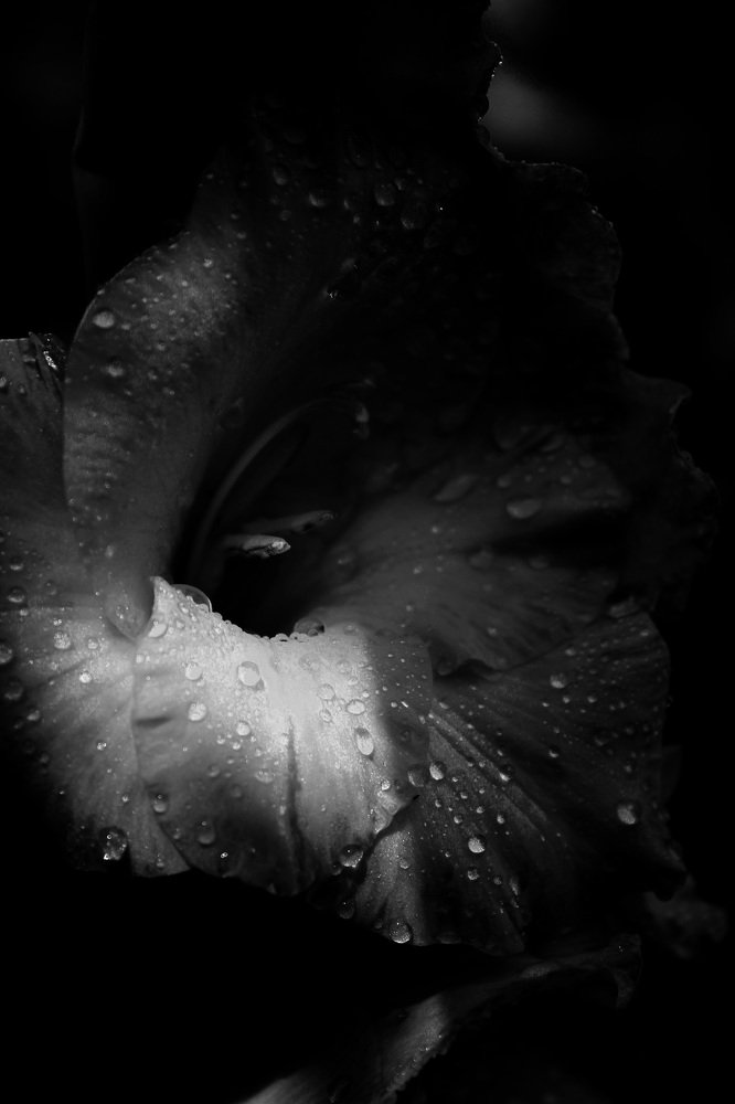 Photograph by Юлия