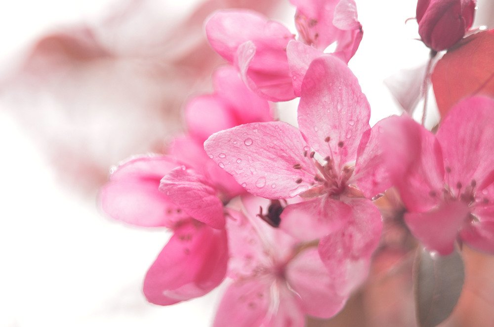 Фотография автора Виктория