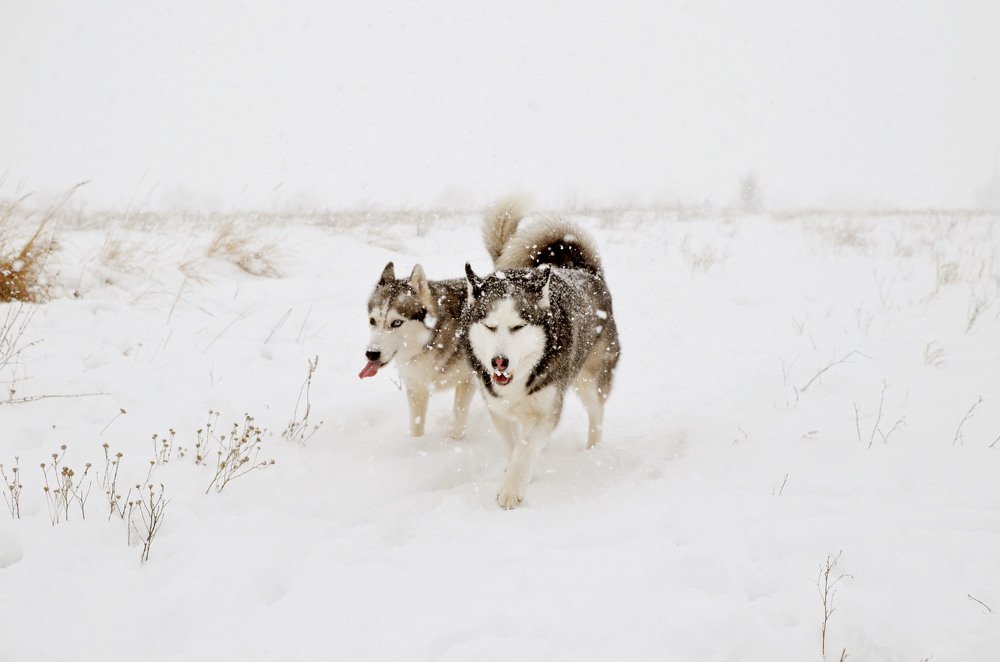 Фотография автора Виктория
