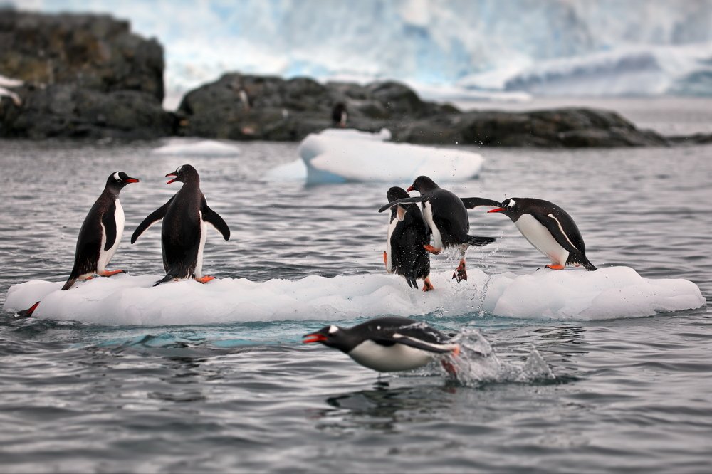 Когда воспитательницы заняты...