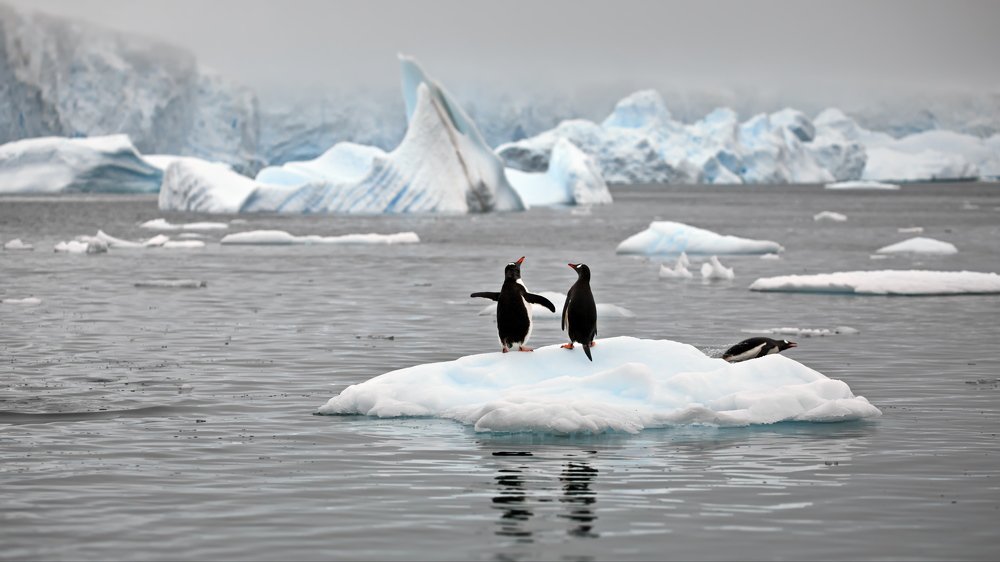 Как прекрасен этот мир, посмотри!
