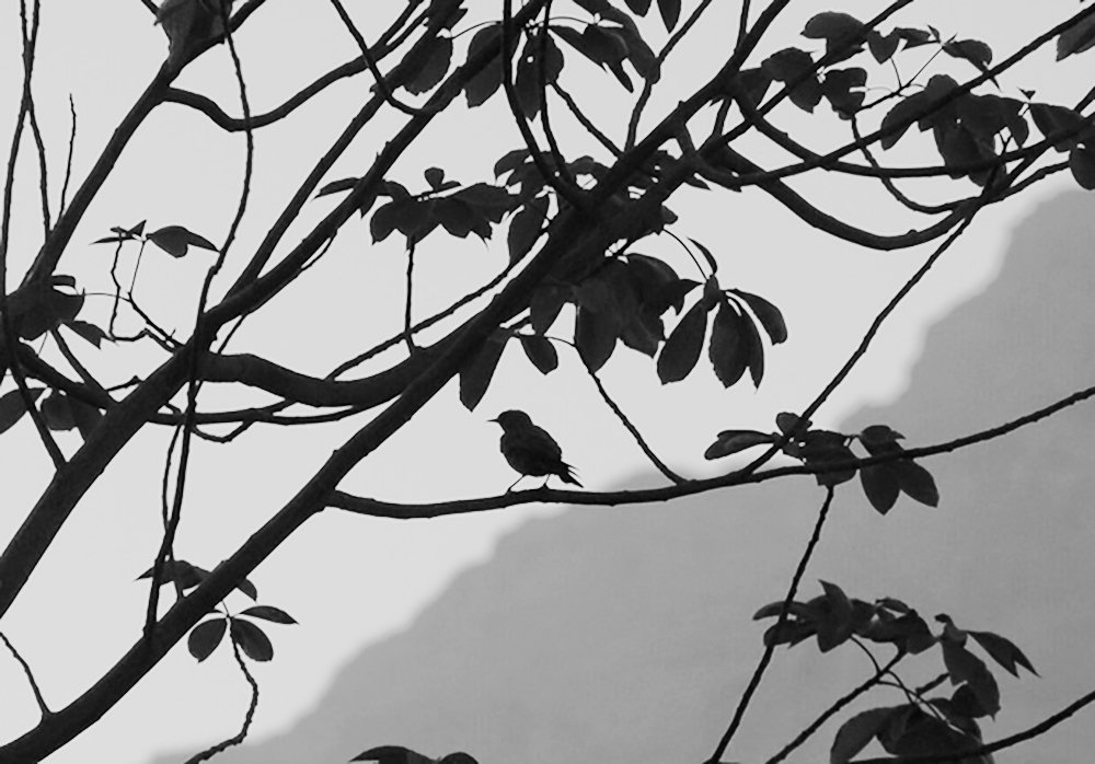 Photograph by Ася Бабушкина