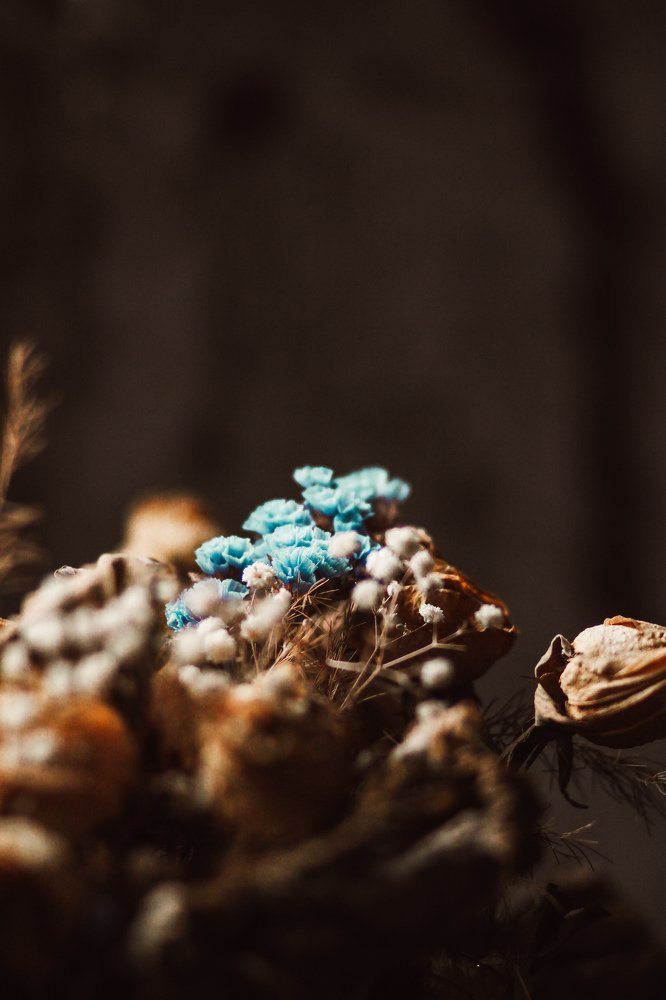 Photograph by Silvia Dubceac