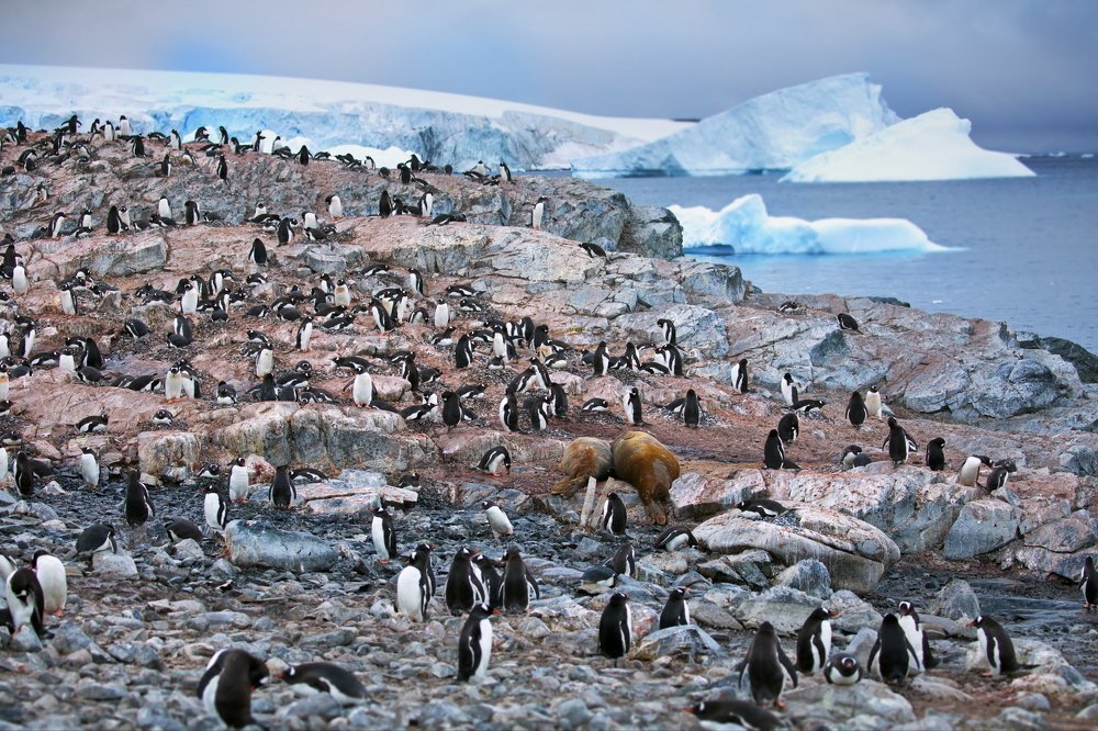 Богатый улов