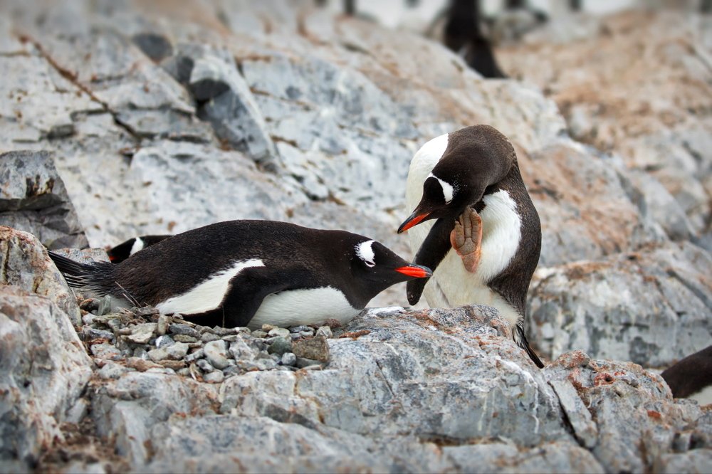Сколько-сколько тебе еще нужно денег?
