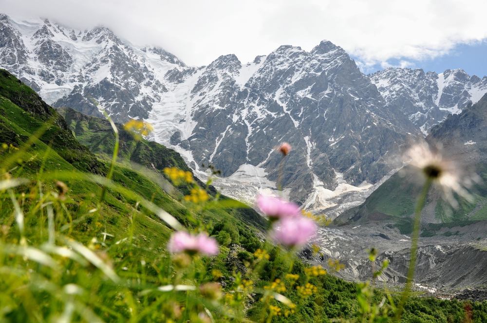 Photograph by Gocha Otanadze