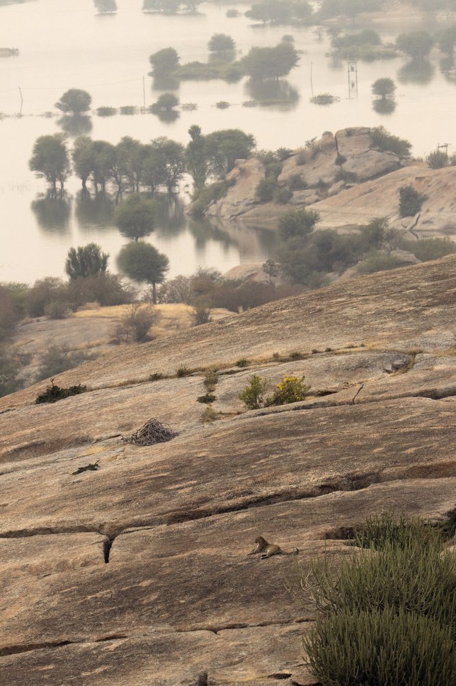 Photograph by Dheeraj mali