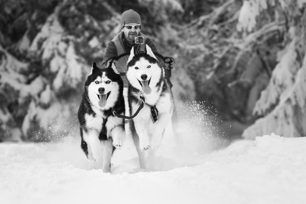 Photograph by Simona Grigorescu