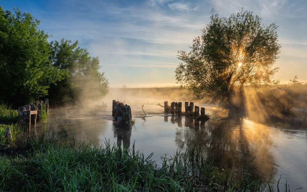 Photograph by Александр Бредихин