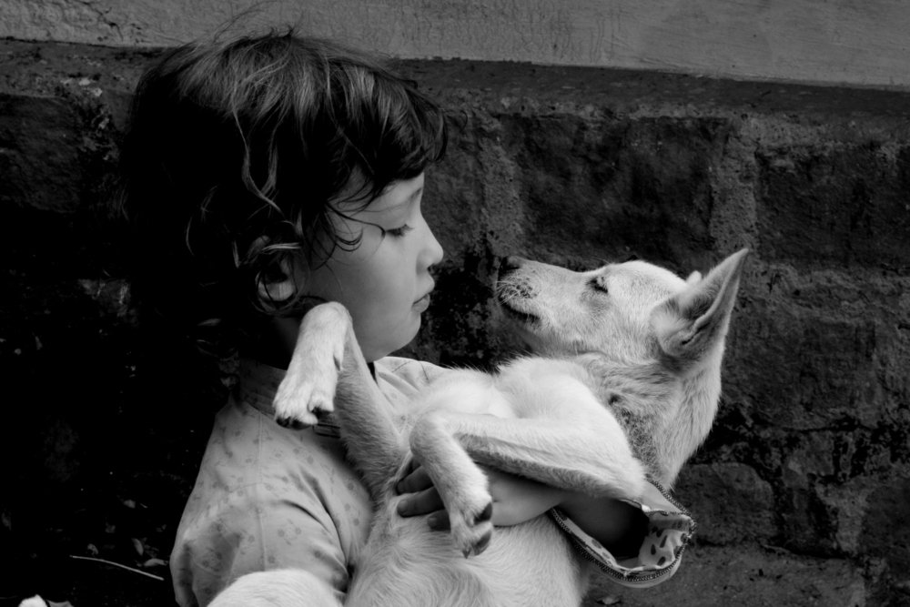 Photograph by Louai Khoder