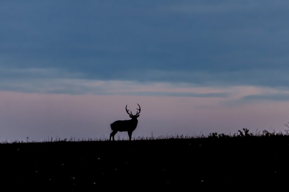 Photograph by Александр Щербаков