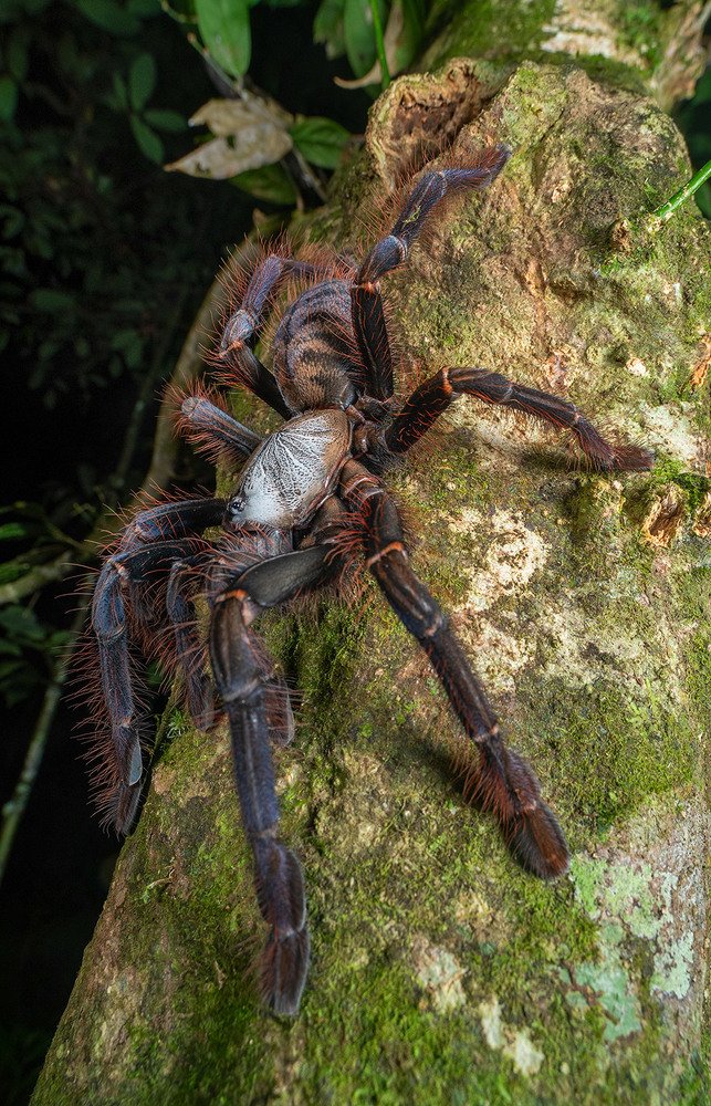 Photograph by Михаил Омелько