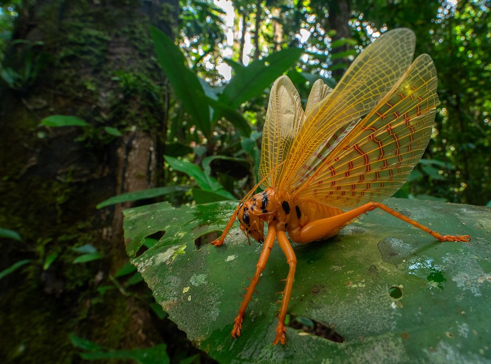 Photograph by Михаил Омелько