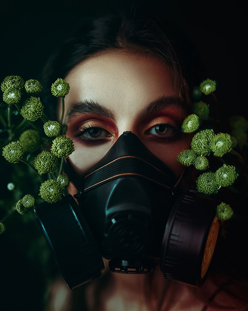 Photograph by Erf4nn