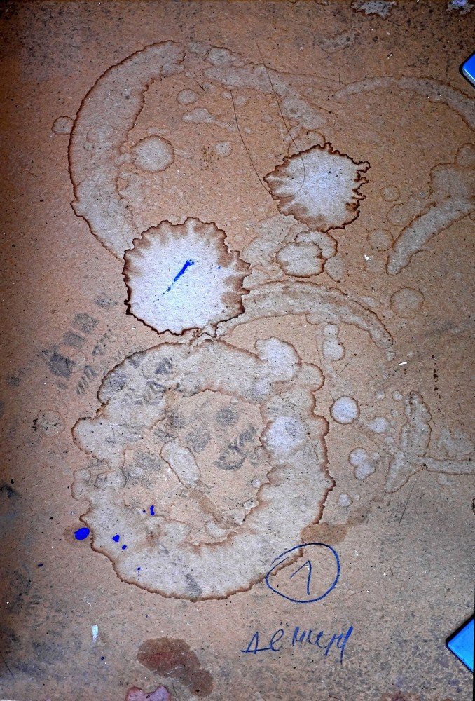 След Дёмина